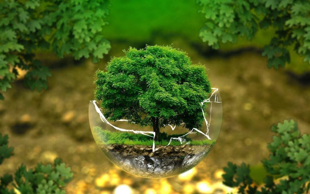 Konsultan,ISO,14001, Terbaik,2024